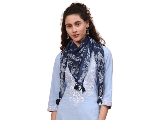 BIBA Women's Printed Fashion Scarf